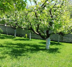 Villa Detelina Balchik в Балчике