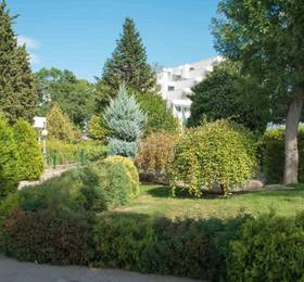 Туры в DAS Club Hotel Sunny Beach - All Inclusive в Болгарии