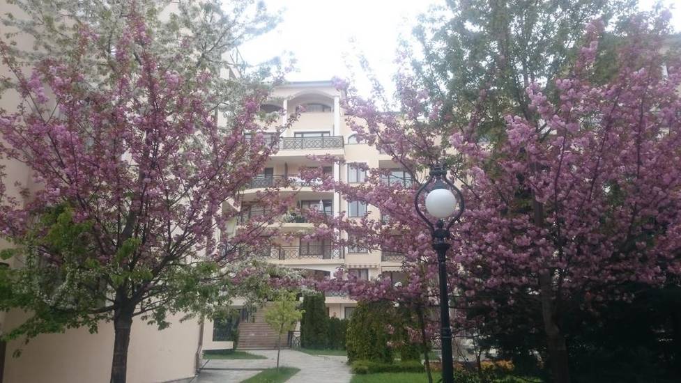 Iglika Apartment 2* Болгария, Золотые Пески
