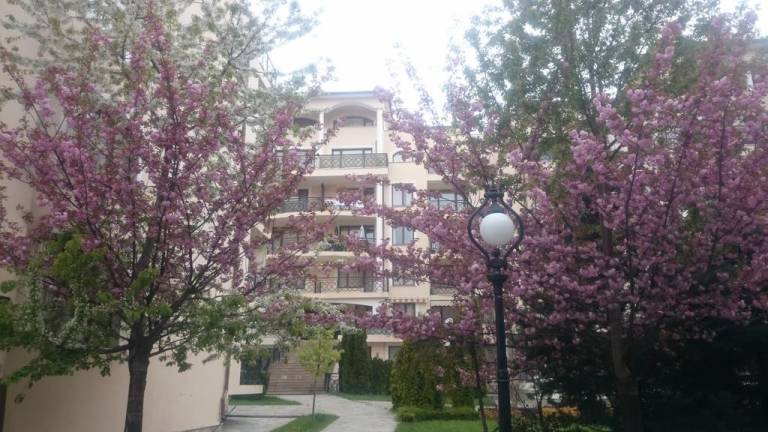 Iglika Apartment