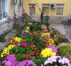 Отдых в Hostel Ruschuk - Болгария, Русе