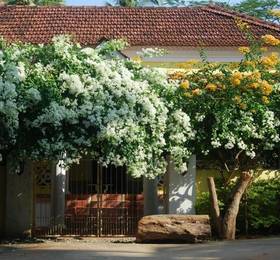 Отдых в Turiya Villa & Spa - Индия, Канкон
