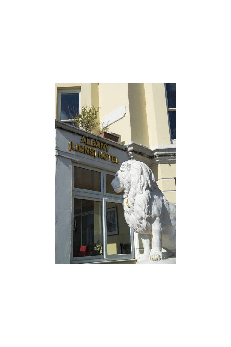 Albany Lions