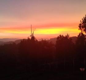 Отдых в Mountain Top Holiday Home - Индия, Утакаманд