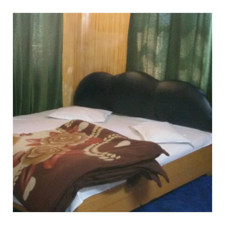 Hotel Green Chinar