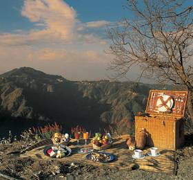 Туры в Wildflower Hall Shimla в Индии