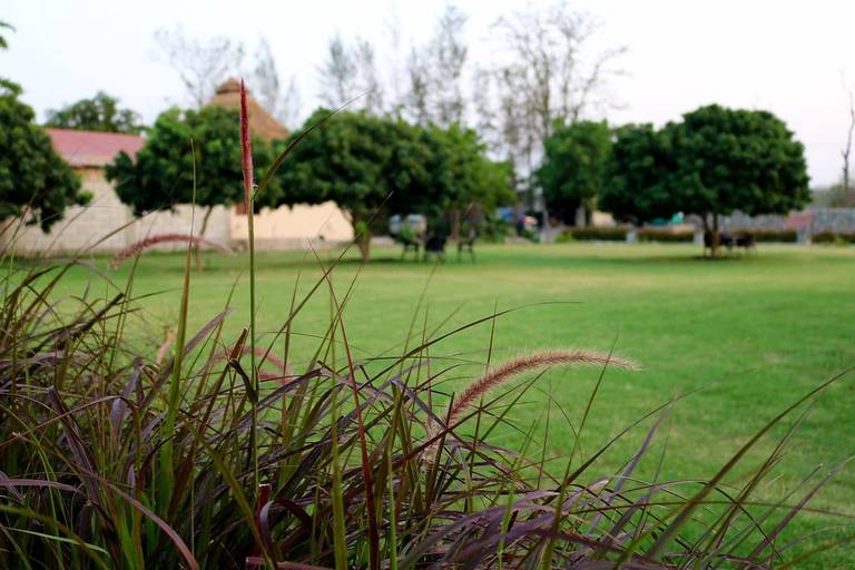 Alaya Resorts & Spa