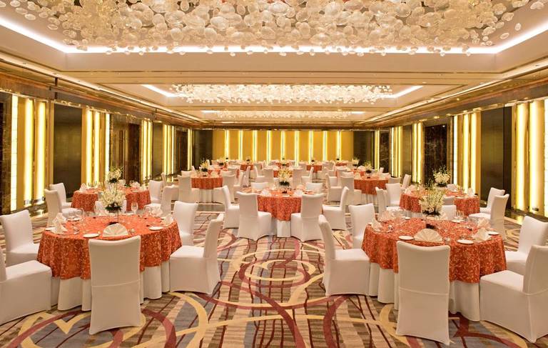 Radisson Blu Plaza Delhi Airport