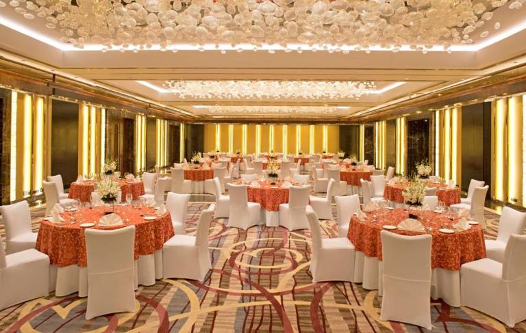 Radisson Blu Plaza Delhi Airport