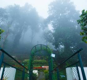 Misty Mountain Resort в Муннаре
