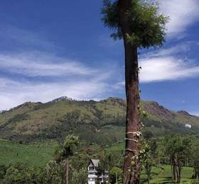 Отдых в Gruenberg Tea Plantation Haus - Индия, Муннар