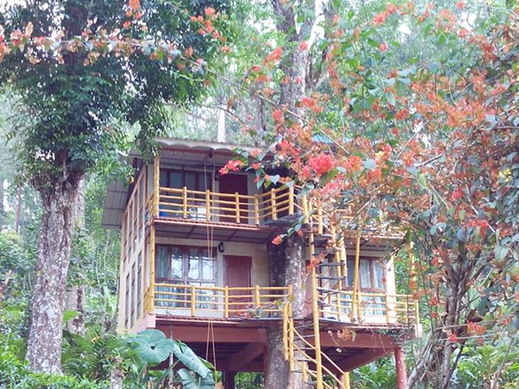 Jungle Jive Tree House Munnar 3* Индия, Муннар