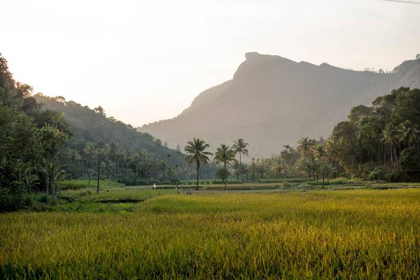 View Valley Homestay Индия, Муннар