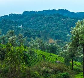 Отдых в The Heights Munnar - Индия, Муннар
