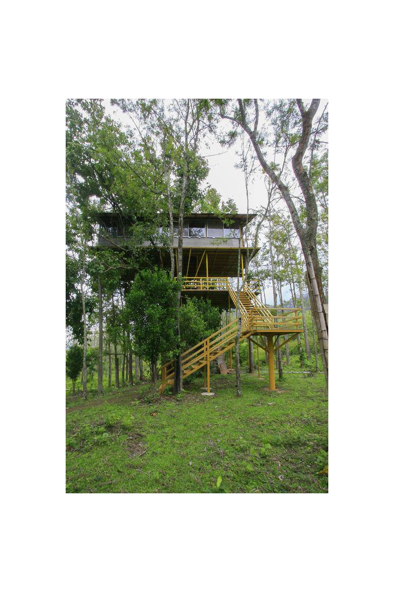 Jungle Retreat Masinagudi