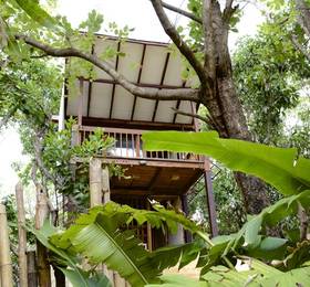 Туры в Shunya Luxury Treehouse в Индии