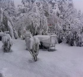 Туры в Sparsh Resort в Индии