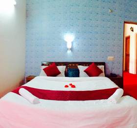Hotel Alpine Manali в Манали