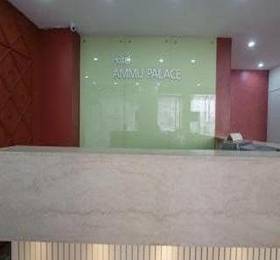 Отдых в Hotel Ammu Palace - Индия, Ченнаи