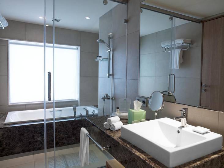 Holiday Inn Chennai OMR IT Expressway 5* Индия, Ченнаи