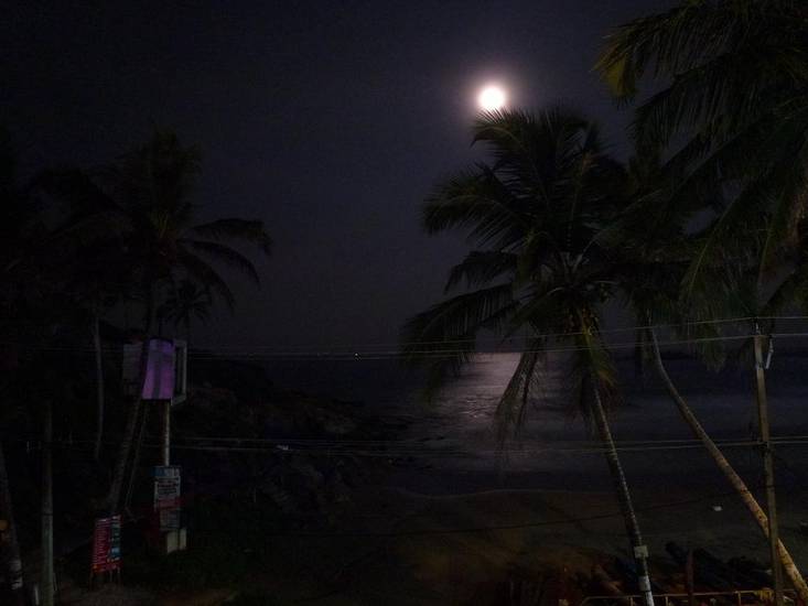 Stay Well Ayurvedic Beach Resort Индия, Ковалам