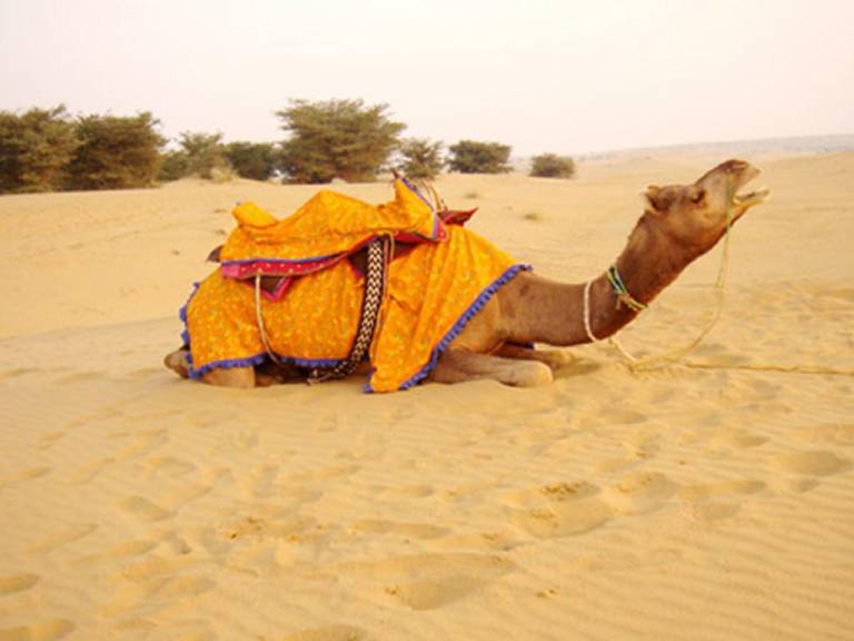 Marwar Camps Jaisalmer