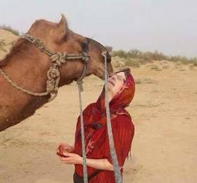 Отдых в Dream jaisalmer tours - Индия, Джайсалмер
