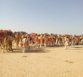 Magliya Desert Safari Camp в Джайсалмере