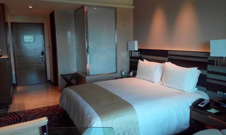 Holiday Inn Jaipur City Centre
