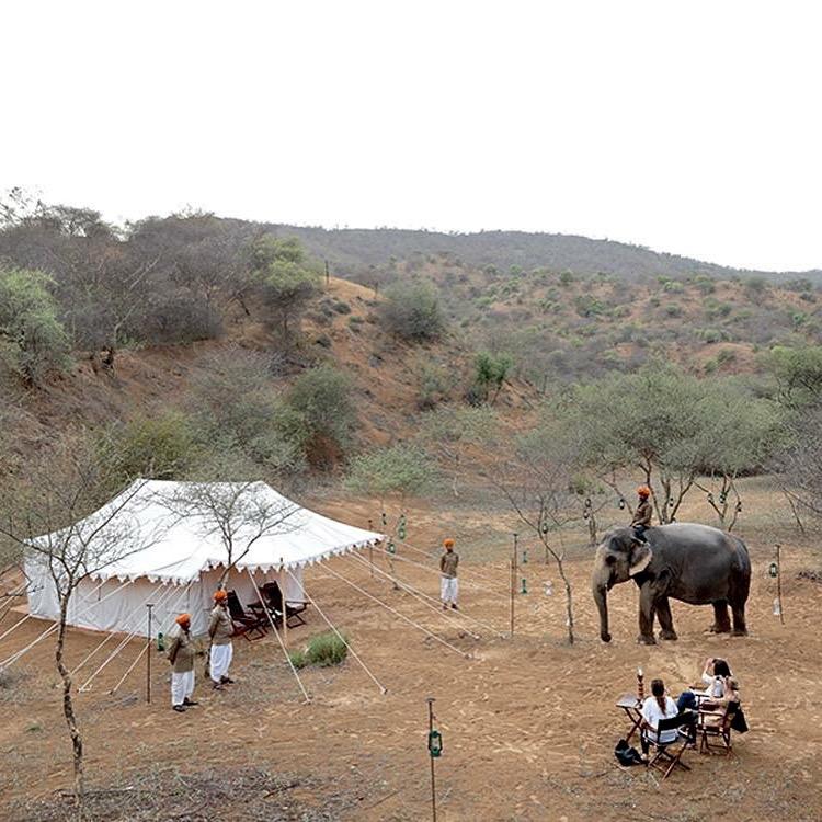 Dera Amer Wilderness Camp
