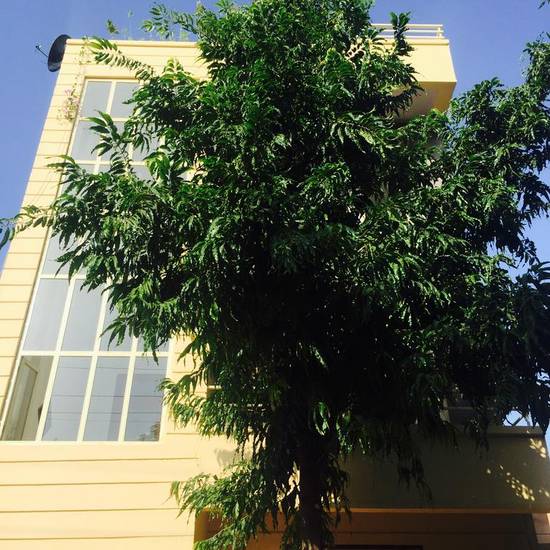Shanti Homestay Индия, Джайпур