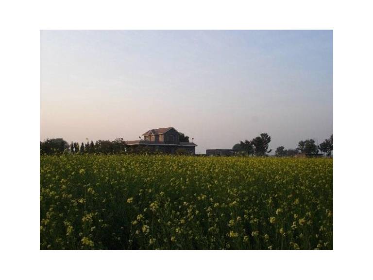Jannat Farms