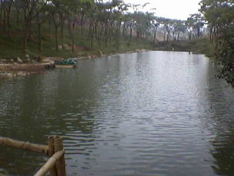 RDS Nature Retreat