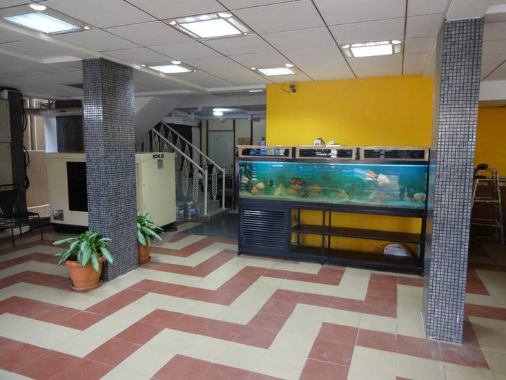Oriental Suites 3* Индия, Бангалор