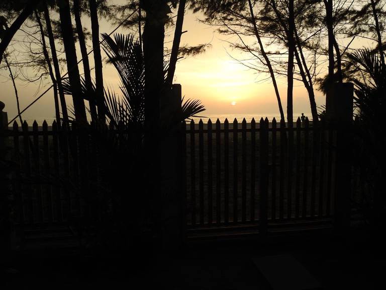 Alleppey Beach Garden