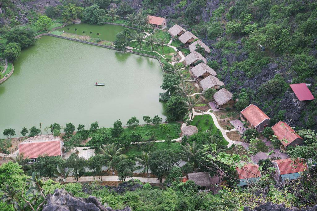 Buffalo Eco Garden 3*