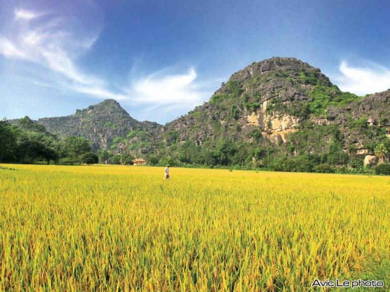 Ninh Binh Ecolodge