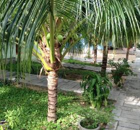 Туры в Cocosand Hotel в Вьетнаме