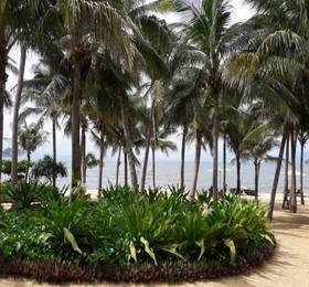 Miami Beach Hotel Apartment в Дананге