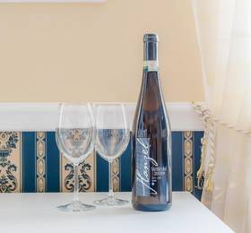 Туры в Vinarske apartmany в Чехии