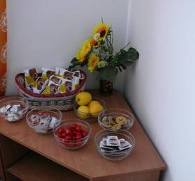 Туры в Penzion Dana Troja в Чехии