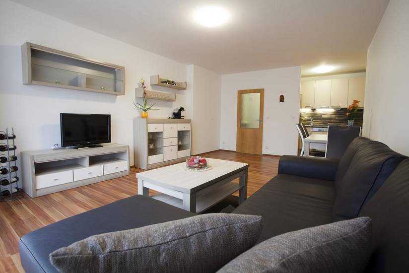 Spacious Prague Flat Чехия, Прага
