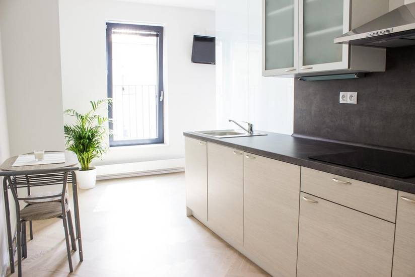 Apartment Vitkov Чехия, Прага