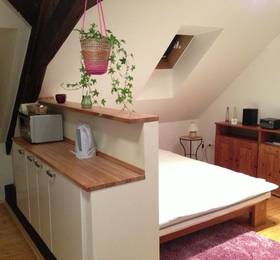 Metropolis Prague Apartments(Zlaty Dvur) в Праге