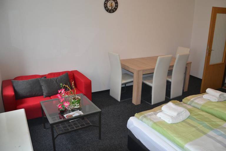 Modern Spacious Apartment Bubenska