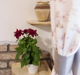 Туры в Rooms Lucemburska в Чехии