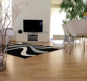 Luxury Villa Apartment In Prague в Праге