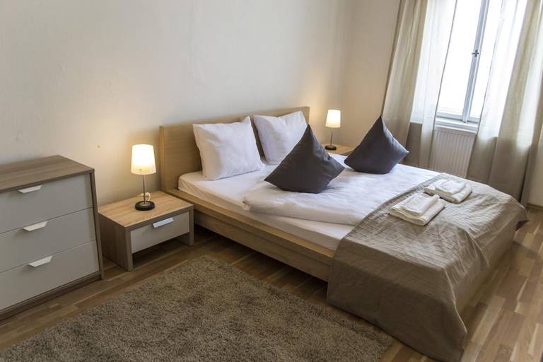 Apartment Dalimilova 2