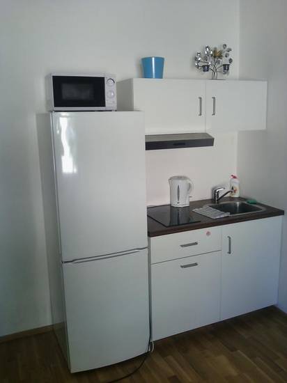 Apartment Pod Zvonarkou Чехия, Прага