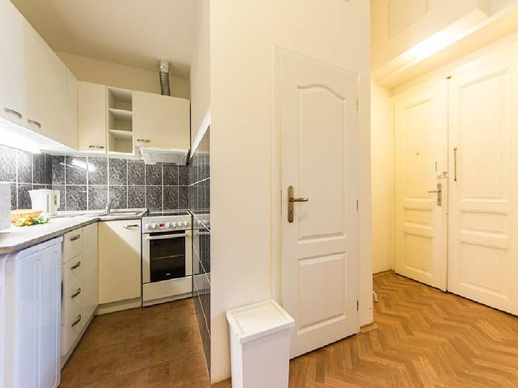 Apartment Neklanova 9 Чехия, Прага